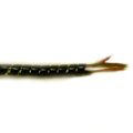 (image for) Spirawrap, Black 8mm - 1m (SBH20S)