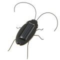 (image for) Solar powered Cockroach Toy Gadget (APN41G)