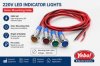 (image for) Indicator 220v (APA34G)
