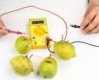 Lemon Battery (KIT103) (image for) Lemon Battery (KIT103)