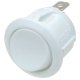 (image for) SPST Push-Fit Round White 6A (SWR027)