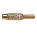 (image for) White High Q Gold Plated Phono Line Socket, 5mm (ANP83G)