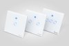 (image for) Sonoff T1 UK: 2 Ch WiFi Wall Touch Light Switch (ACC17S)