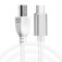 Firewire (image for) Firewire