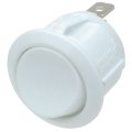 (image for) SPST Push-Fit Round White 6A (SWR027)