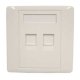 (image for) RJ45 Dual Outlet Wall Plate (AMW00G)