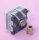 (image for) Transistor Radio AM Tuner (CPA202)