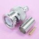 (image for) BNC Crimp Plug RG59U (PLR004)