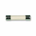 (image for) 10A 20mm A/S Ceramic Microwave Fuse (MWF05G)