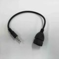 (image for) 20 cm Cable 3.5mm M to USB F (ALV29G)