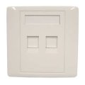 (image for) RJ45 Dual Outlet Wall Plate (AMW00G)