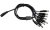 (image for) DC Splitter 1 female to 8 male 2.1mm (CNP800)