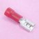 (image for) Red Spade