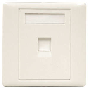 (image for) RJ45 Single Outlet Wall Plate (AMV99G)