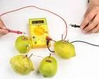 (image for) Lemon Battery (KIT103)