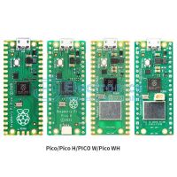 (image for) Pico Development Board (RAS12G)