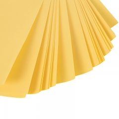 (image for) Thermal Transfer Paper (TLS009)